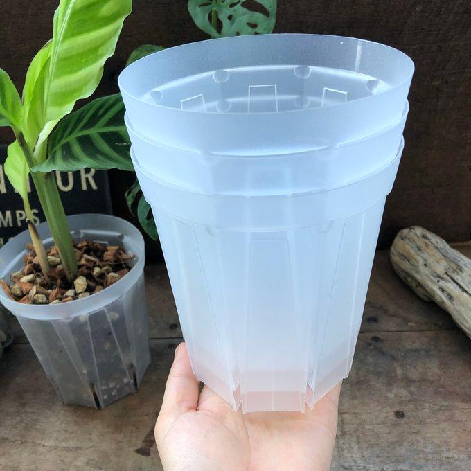 ネガミエル 4号の3個セット 観葉植物 スリット鉢 ガーデニング : パリ