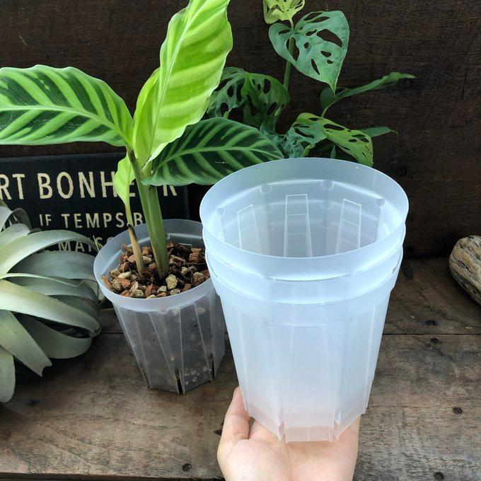 ネガミエル 4号の3個セット 観葉植物 スリット鉢 ガーデニング : パリ