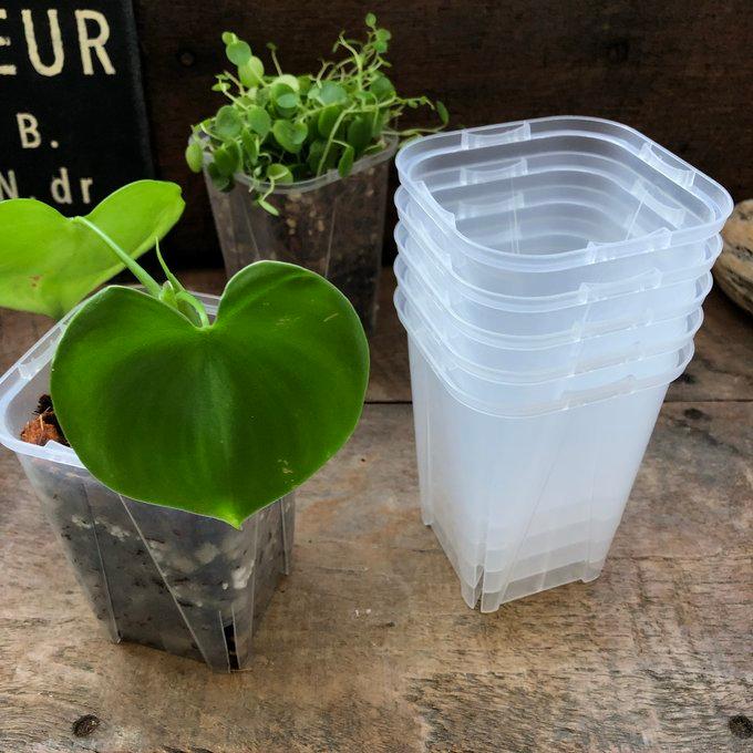 ネガミエル 3号角鉢5個セット 観葉植物 スリット鉢 ガーデニング お