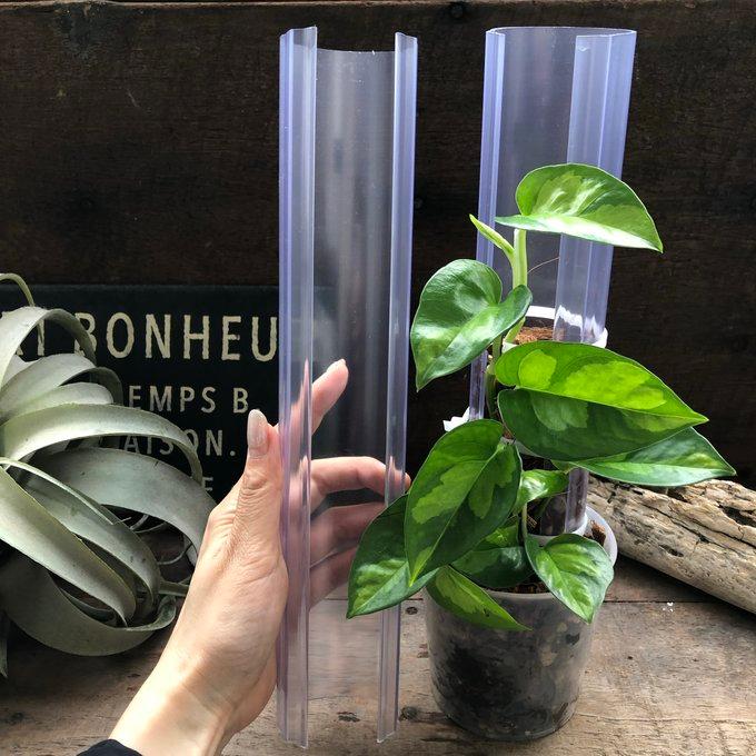 ねこ型登り棒 L/長さ 30cm 花森家 蔓性つる 観葉植物 : パリジェンヌ