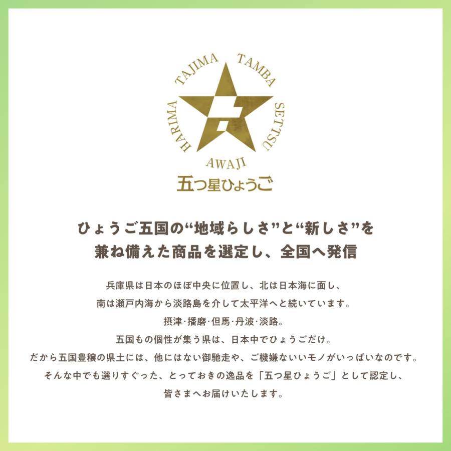 【公式】フットグルーマー グラン フットケア フットブラシ 足洗いマット かかと 角質除去 足のニオイ 足裏ケア バスグッズ サンパック 日本製 |  | 17