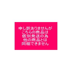 保冷剤（ ナイロンタイプ ）40g（ 70×100mm ）400個×5セット（ 個人様宛不可 要事業者名 ）（ レジャー 冷凍食品 低温輸送 等に ）の画像