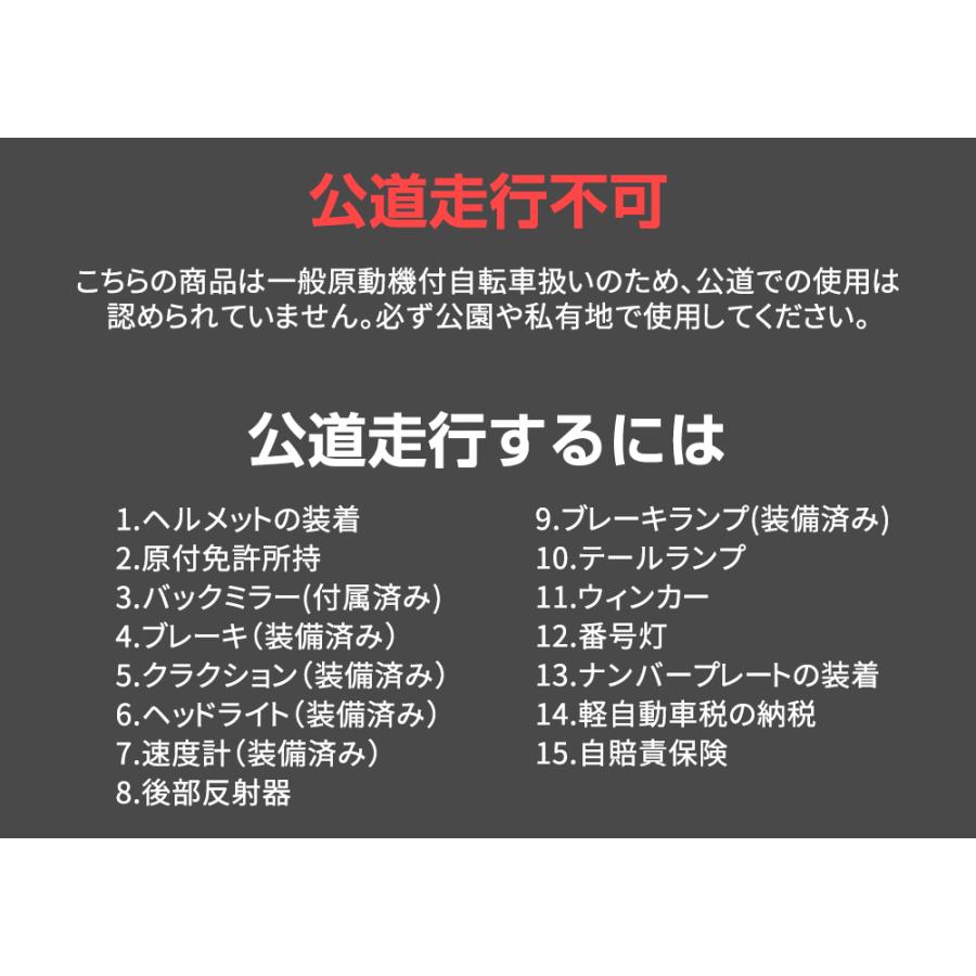 ファットバイク 電動 20インチ 電動自転車 折りたたみ 2タイプ FATBIKE 7段変速 ディスクブレーキ 1年修理保証 公道不可 沖縄、離島配達不可｜sunpie｜21