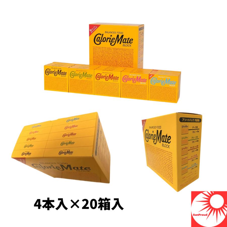 大塚製薬 【まとめ買い 送料無料】カロリーメイト ブロック 4本
