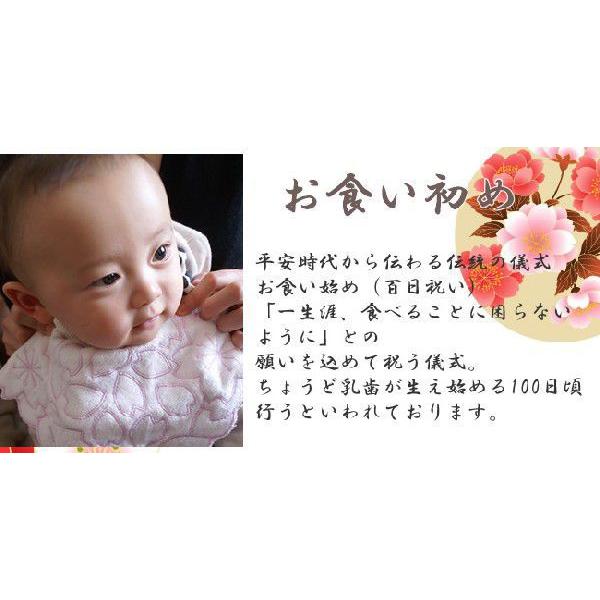 お食い初め石 乳歯ケース付 男の子 歯固め石 お食い初め用石 百日祝い 食器ではございません Tooth2 駿府姫桜 通販 Yahoo ショッピング