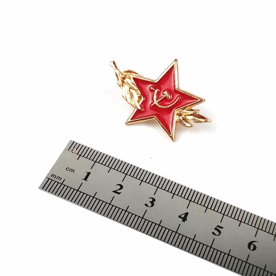 ソ連 ソビエト ピンバッジ 星 葉 レッド ロシア 軍 ミリタリー バッジ
