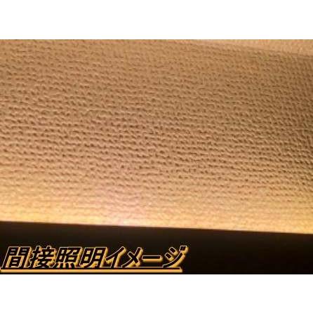 DC12V 20cmテープLED（5050LED）電球色 warm white |  | 04