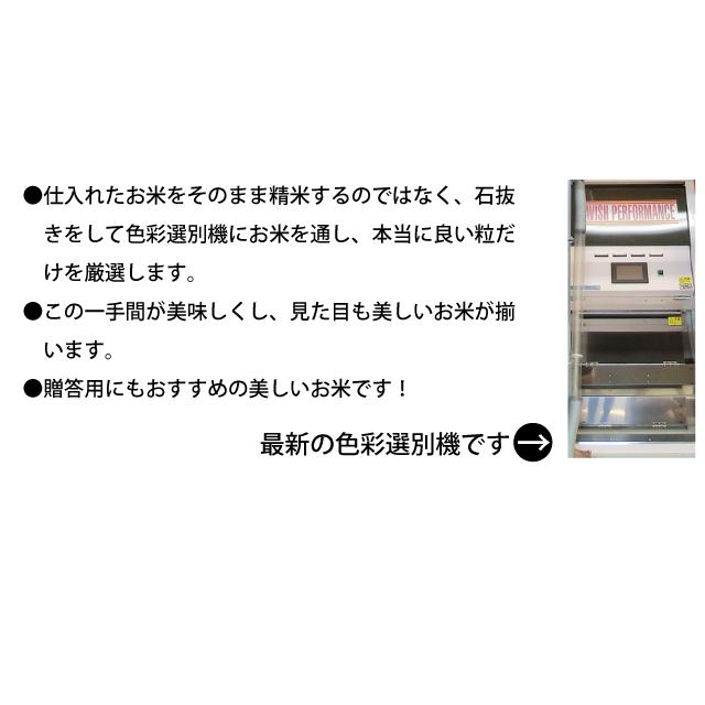 コシヒカリ 米 30kg お米 送料無料 新米 令和7年 白米 栃木県産