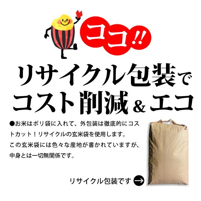 コシヒカリ 米 30kg お米 送料無料 新米 令和7年 白米 栃木県産