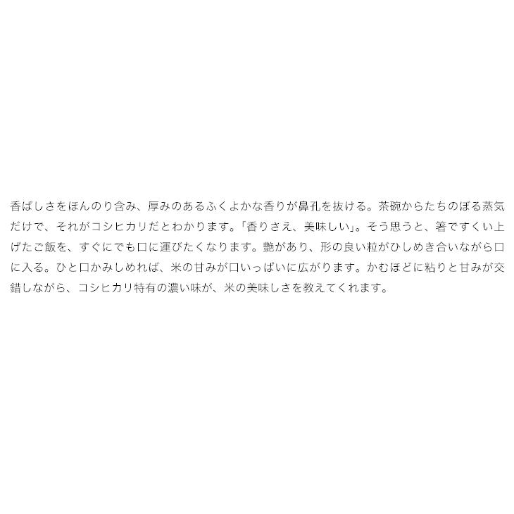 米 20kg お米 コシヒカリ 送料無料 新米 令和7年 白米 栃木県産（北海道・九州+300円）_7