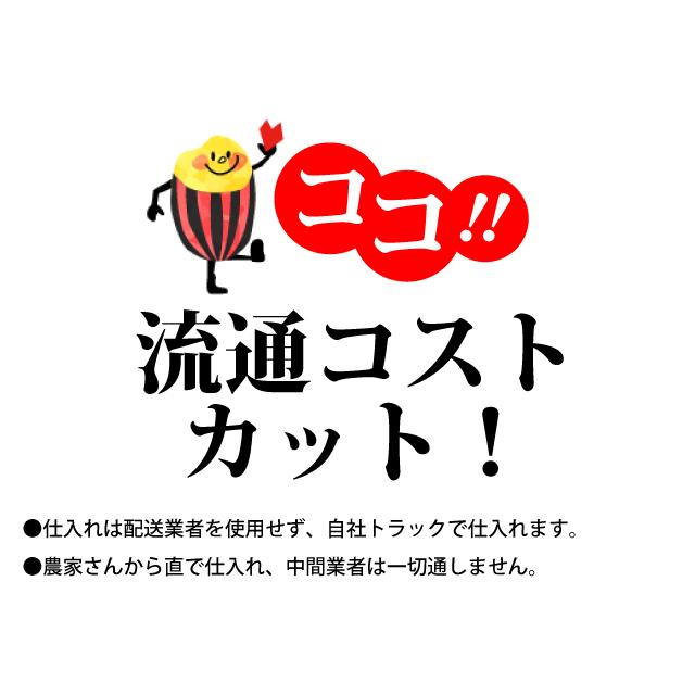 米 10kg お米 コシヒカリ 送料無料 新米 令和5年 白米 埼玉県産（北海道・九州+300円）｜sunrice｜13