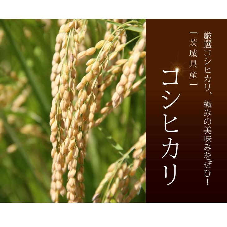 ▶︎令和6年　コシヒカリ10㌔◀︎⑦ コシヒカリ 米 10kg お米 送料無料 新米 令和6年 白米 茨城県産