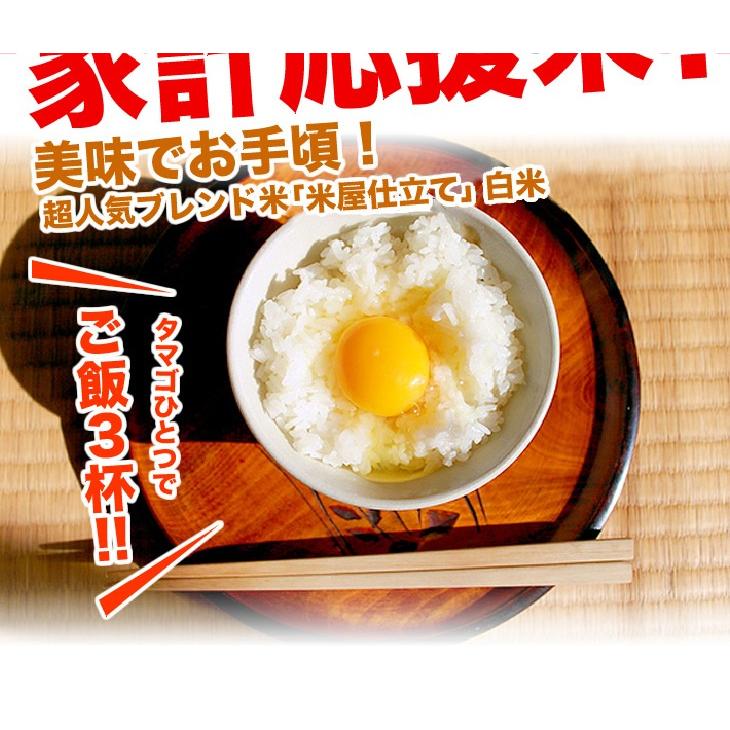 米 30kg お米 ブレンド米 安い 送料無料 まとめ買い 業務用米 最安値