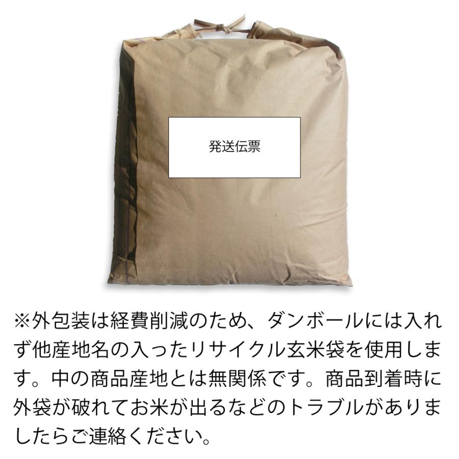 送料込〉令和5年度栃木県産コシヒカリ白米20kg