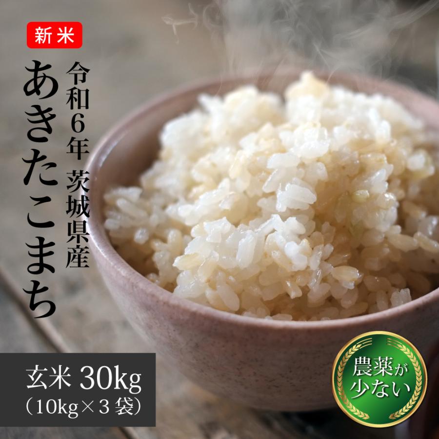 SALE／104%OFF】 新米 棚田 幻のハイブリッド 大粒 酵素米 お米 玄米５Kg 標準白米に精米