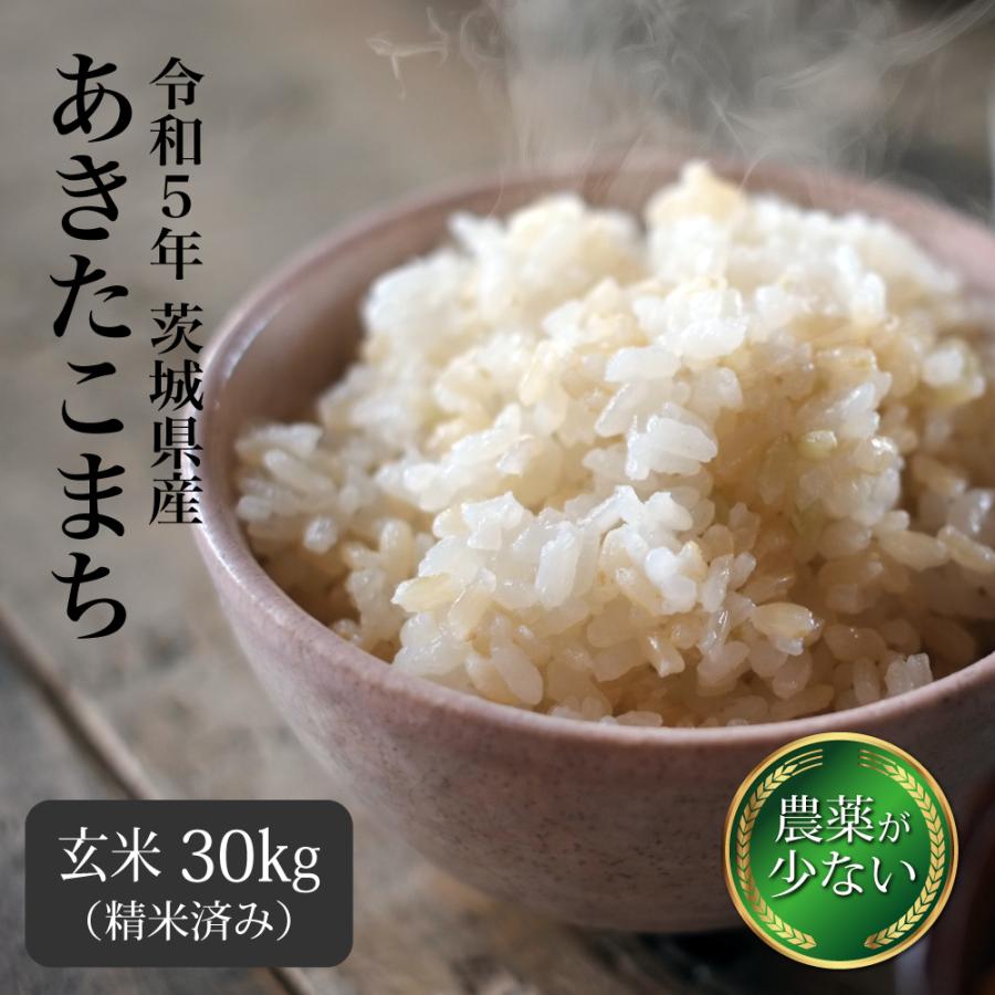 かずちゃん米 無農薬新米純こしひかり30㎏ 玄米-