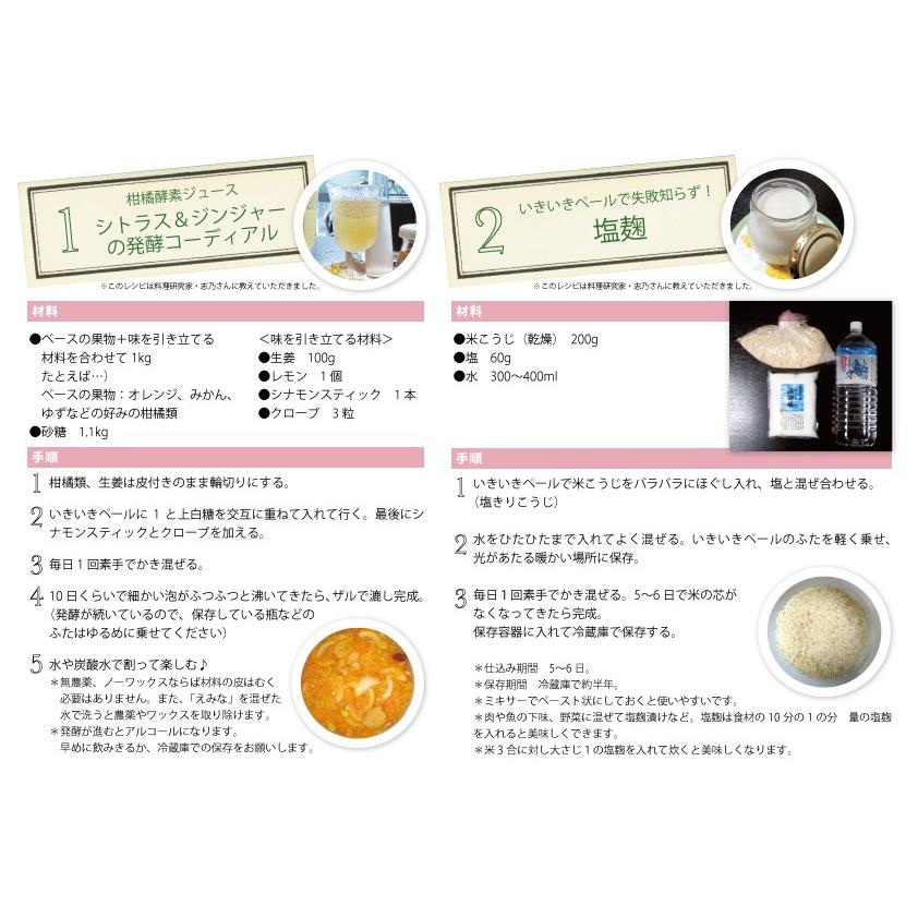 いきいきペール10型 9 0l 発酵バケツ 不思議なバケツ Ask株式会社 発酵食品 手作り ぬか漬け ヨーグルト 酵素ジュース Ikiiki Pe Ru10 さんらいす 通販 Yahoo ショッピング