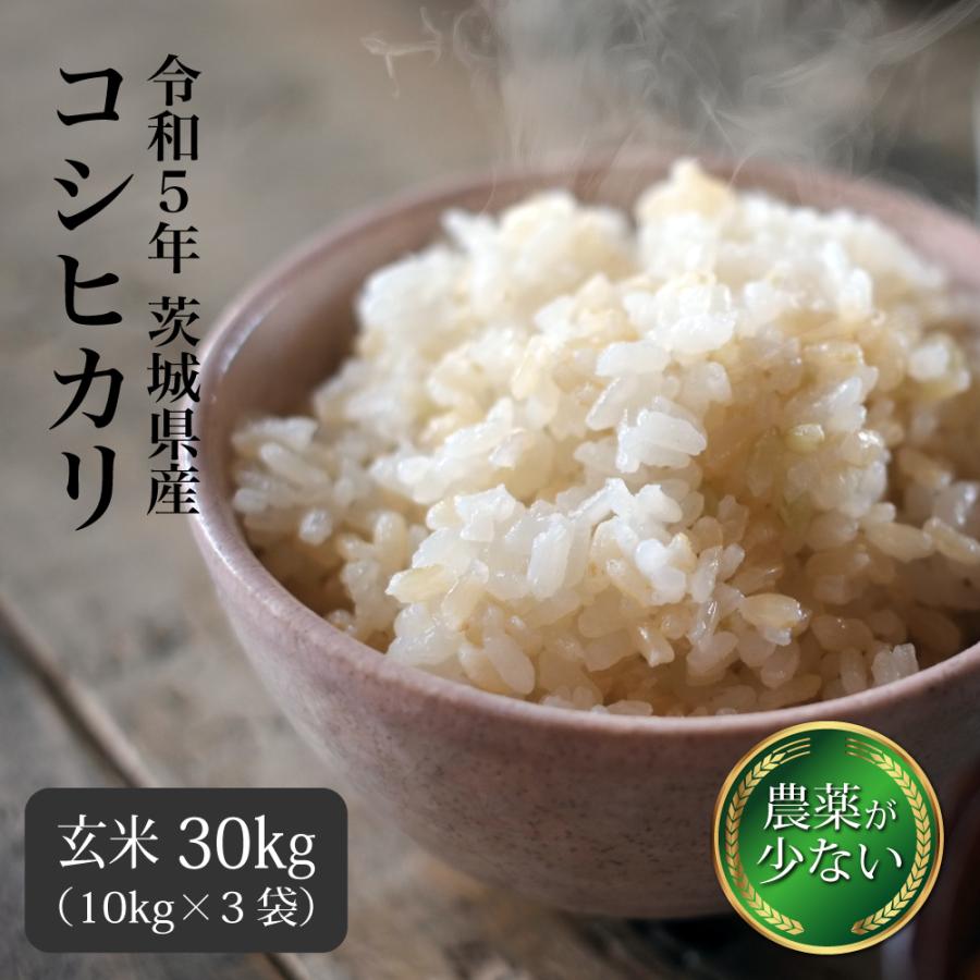 最大96％オフ！ 特別セール 玄米限定 令和4年 埼玉県産コシヒカリ 玄米 30kg 美味しいお米