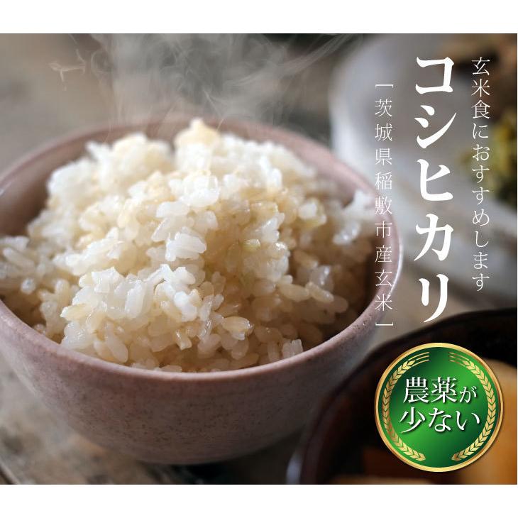 コシヒカリ 新米 令和6年 玄米 30kg（10kg×3袋）こしひかり 送料無料 