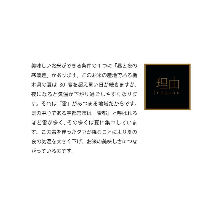 米 5kg お米 にじのきらめき 送料無料 令和7年 新米 栃木県産（北海道