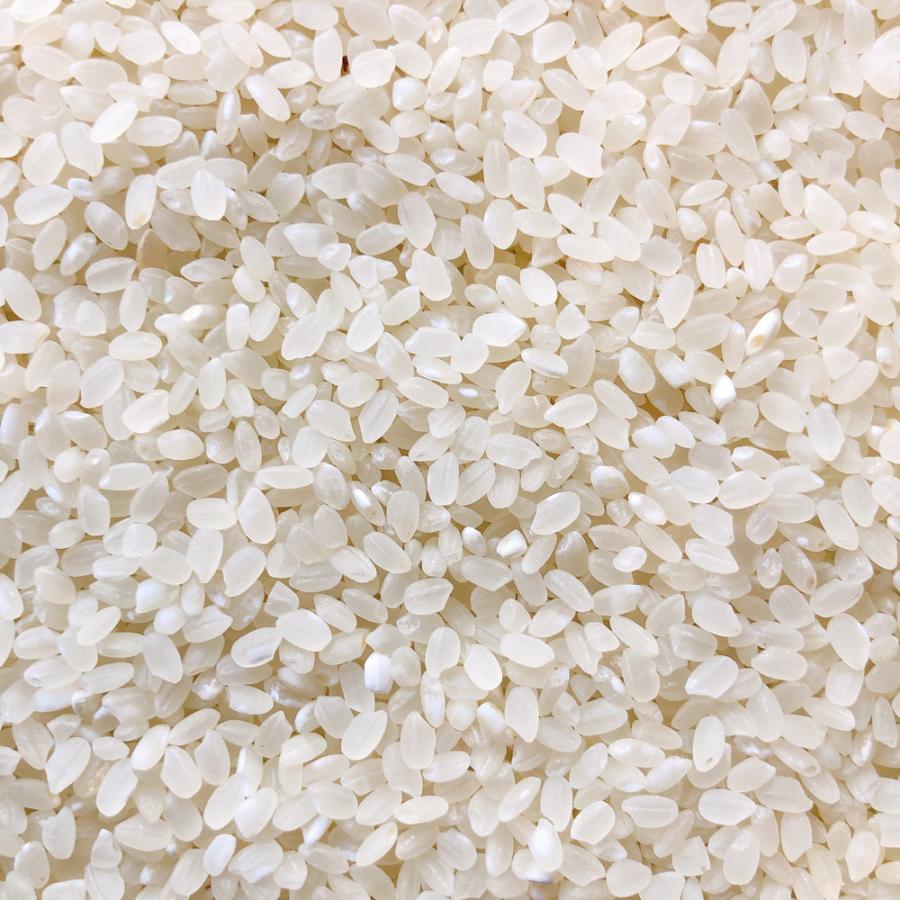 新米 令和4年 食べ比べセット ポイント消化 送料無料 お試し 米 お米 五百川 白米 500g 埼玉県産 :onecoin-gohyakugawa: さんらいす - 通販 - Yahoo!ショッピング 新米 令和4年 食べ比べセット ポイント消化 送料無料 お試し 米 お米 五百川 白米 500g 埼玉県産 :onecoin-gohyakugawa: さんらいす - 通販 - Yahoo!ショッピング
