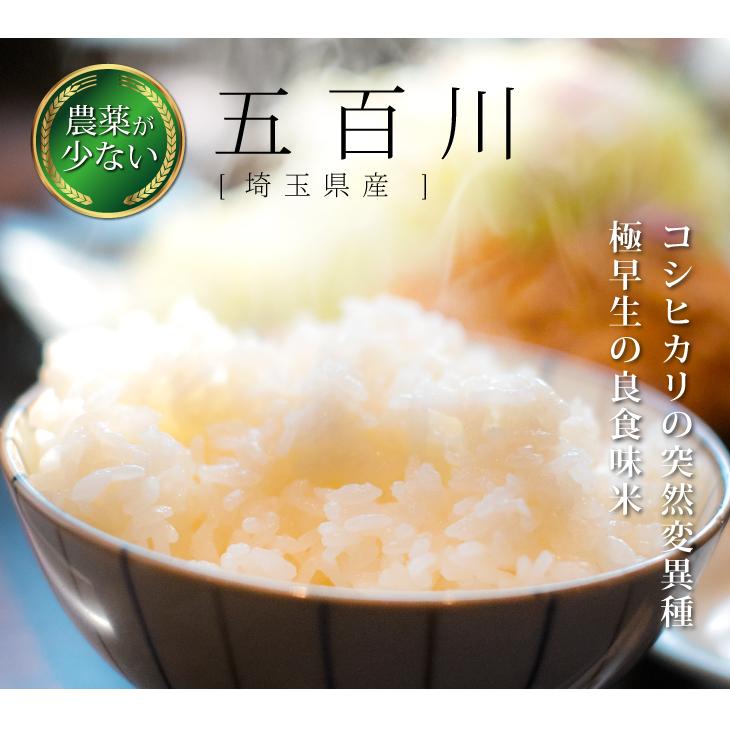 新米 美味しいお米 令和4年 埼玉県産 コシヒカリ 白米 27kg 送料無料
