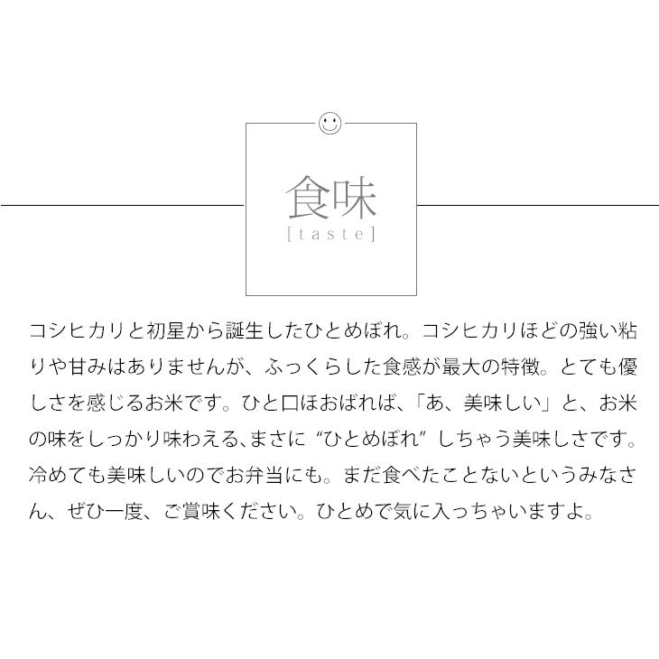 お米 10kg 米 ひとめぼれ 白米 新米 令和5年 埼玉県産 5kg×2袋 送料別途｜sunrice｜09