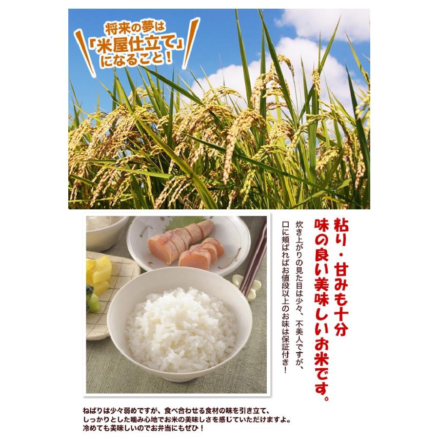 数量限定！特別ブレンド米　30kg！ お米 30kg 米 ブレンド米 安い 業務用米 まとめ買い 最安値 新米 5kg×6