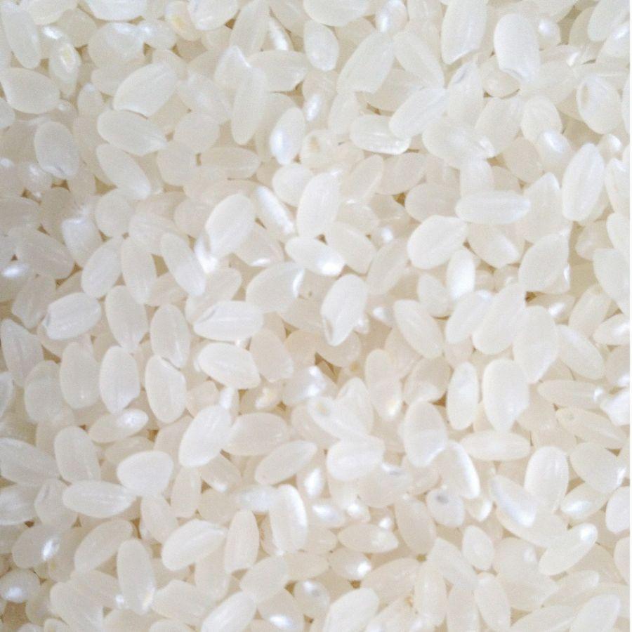 あきたこまち 米 お米 25kg 令和6年 新米 5kg×5袋 茨城県産 農薬が