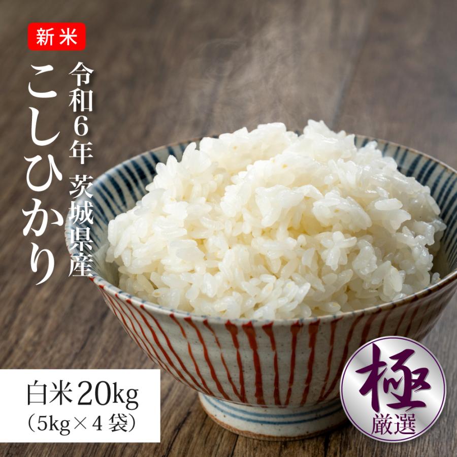 R6年産 茨城県産コシヒカリ 20kg 令和6年産 茨城県産コシヒカリ 白米20kg