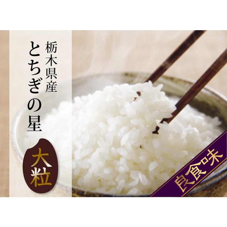 新米 令和7年 25kg とちぎの星 米 お米 栃木県産 5kg×5袋 まとめ買い