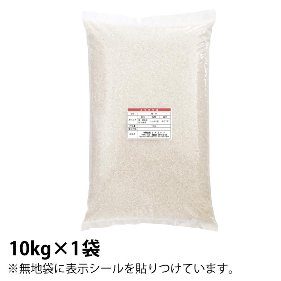 米 10kg お米 とちぎの星 送料無料 新米 令和7年 栃木県産
