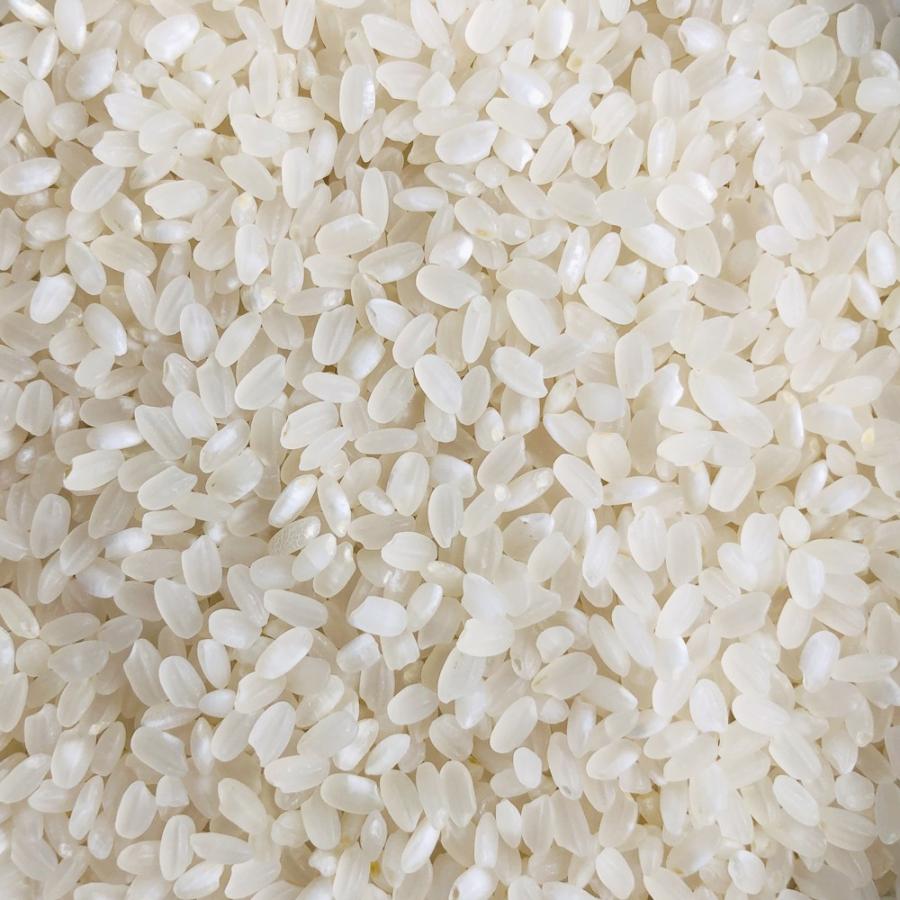 新米 米 お米 30kg とちぎの星 送料無料 令和4年 栃木県産 まとめ買い 業務用米(北海道・九州+300円)沖縄・離島不可 :totiginohoshi-30kg:さんらいす - 通販 - Yahoo!ショッピング 新米 米 お米 30kg とちぎの星 送料無料 令和4年 栃木県産 まとめ買い 業務用米(北海道・九州+300円)沖縄・離島不可 :totiginohoshi-30kg:さんらいす - 通販 - Yahoo!ショッピング