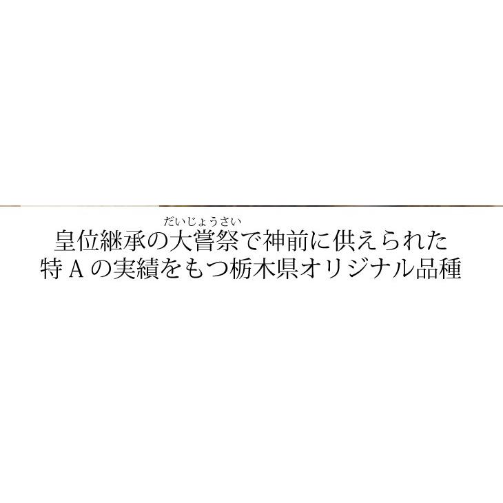 米 30kg お米 とちぎの星 送料無料 白米 新米 令和5年 栃木県産  まとめ買い 業務用米（北海道・九州+300円）沖縄・離島不可｜sunrice｜07