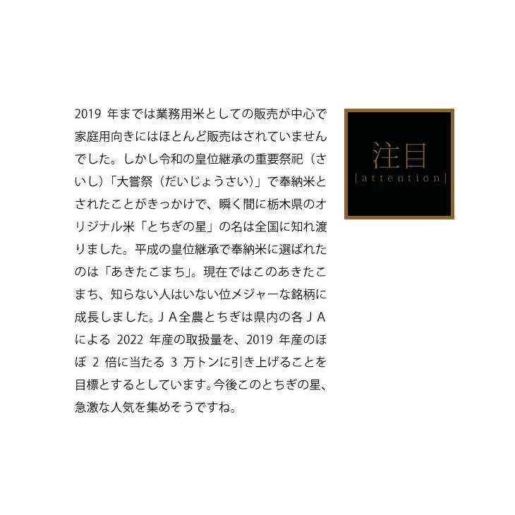 米 5kg お米 とちぎの星 送料無料 白米 新米 令和7年 栃木県産（北海道