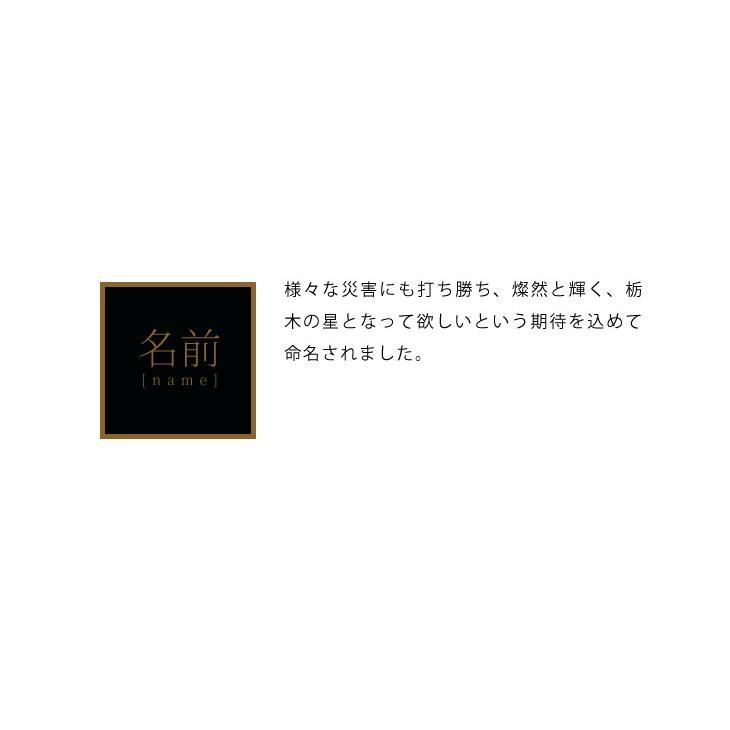 米 5kg お米 とちぎの星 送料無料 白米 新米 令和7年 栃木県産（北海道