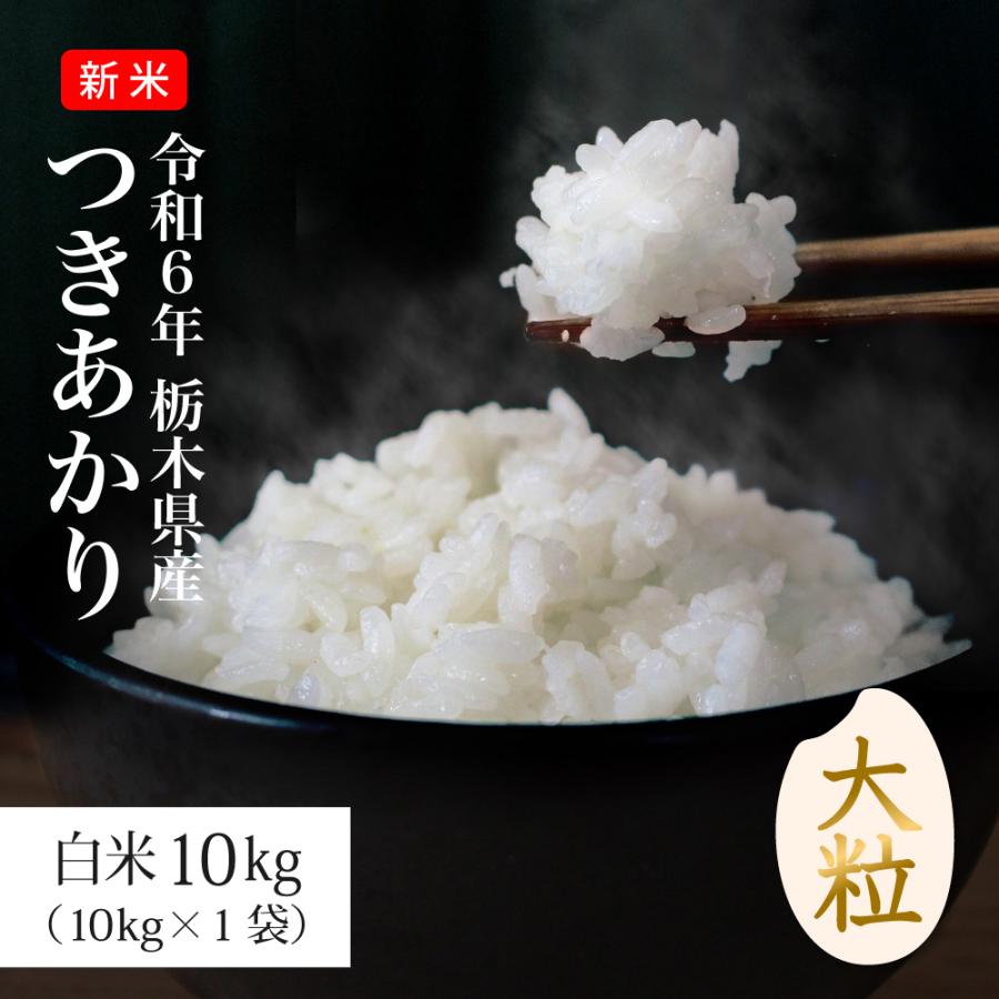 米 10kg お米 つきあかり 送料無料 新米 令和6年 栃木県産（北海道 
