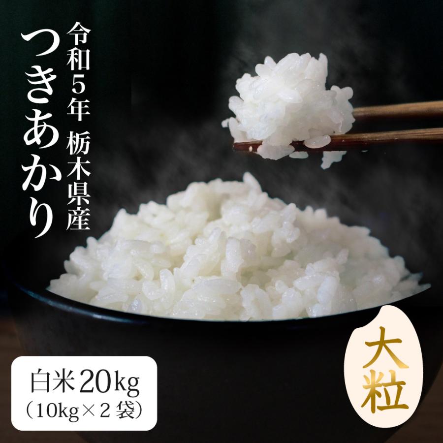令和5年度 新米コシヒカリ20kg 無洗米 栃木県産 - 米