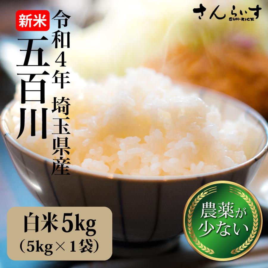 新米 美味しいお米 令和4年 埼玉県産 コシヒカリ 白米 5kg 送料無料 通販