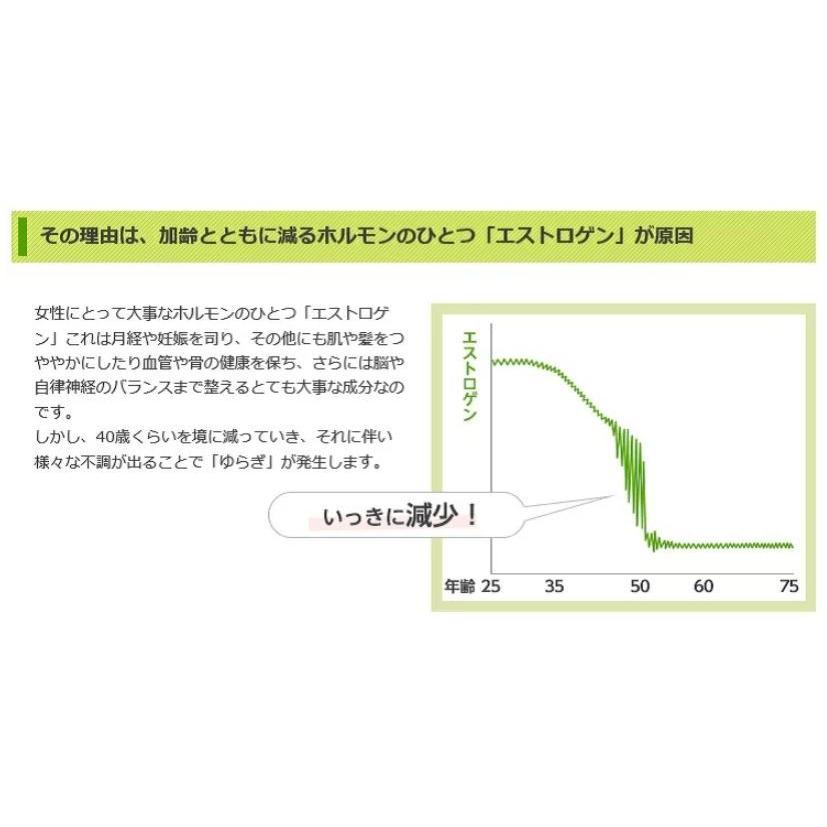 エクエル 120粒入 パウチ エクオール 大塚製薬 代引き不可 送料無料｜sunright｜04