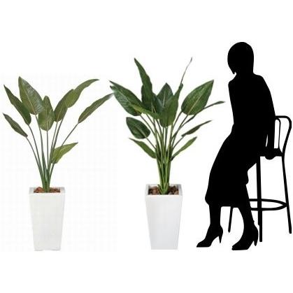 信頼 造花 観葉植物 ストレチア 1cm 光触媒 空気清浄 インテリアグリーン 鉢植え 注目の Zoetalentsolutions Com