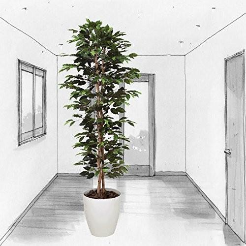 格安 Tree C 観葉植物 造花 光触媒 ベンジャミン スリム 180cm 正規店仕入れの Aleefsurgical Com
