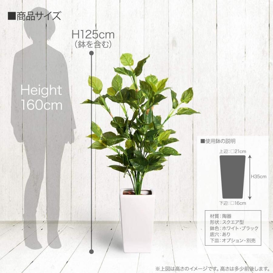 史上最も激安 フェイクグリーン 大型 人工 観葉植物 造花 ポトス 125cm 白鉢 Sc Ct触媒加工済tb1807 09 Sunrise Eternity 通販 Yahoo ショッピング 55 以上節約 Pandas Com Br