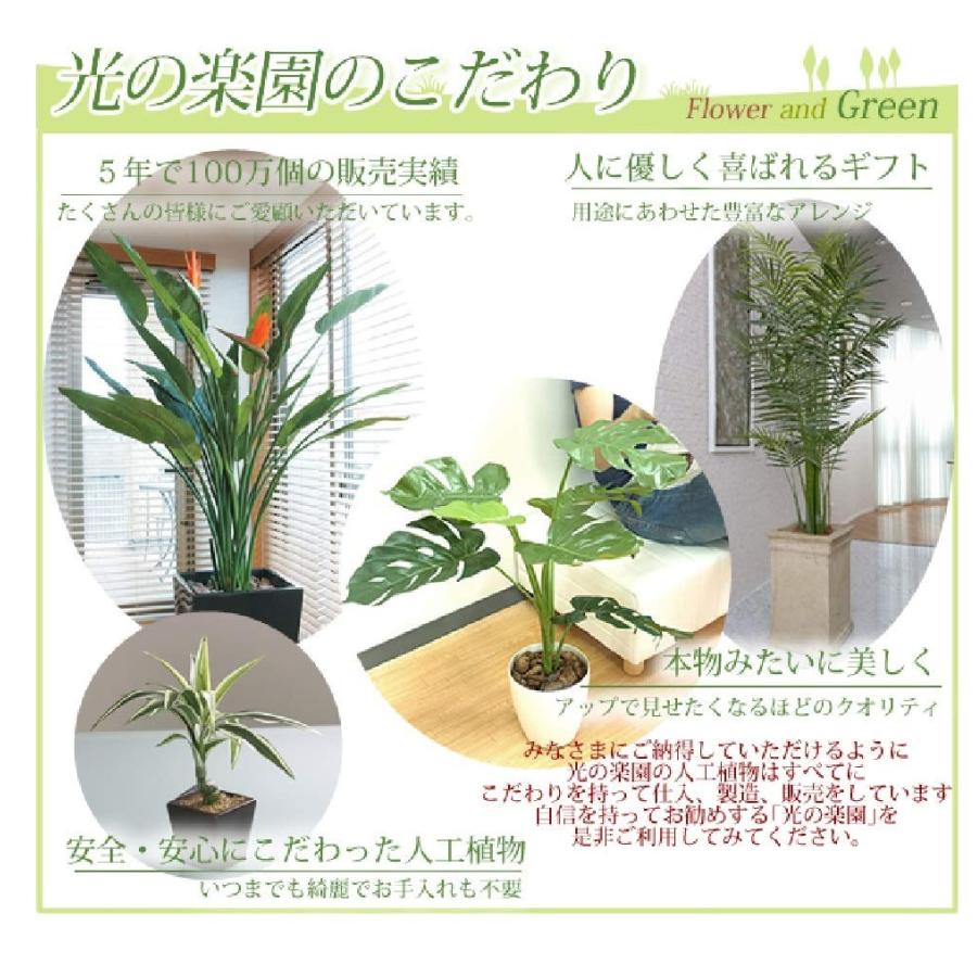 独創的 観葉植物 フェイクグリーン 壁面緑化斑入アイビー 日本製 光触媒 消臭 抗菌 ホルムアルデヒド対策 光の楽園 生活用品 インテリア 雑貨 珍しい Www Maxipiso Com Ar