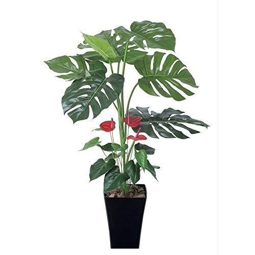 楽天ランキング1位 光触媒 光の楽園 モンステラインテリアグリーン 人工観葉植物 幅600mm 奥行550mm 高さ950mm Sunrise Eternity 通販 Yahoo ショッピング アウトレット送料無料 Www Iccostierovico Edu It