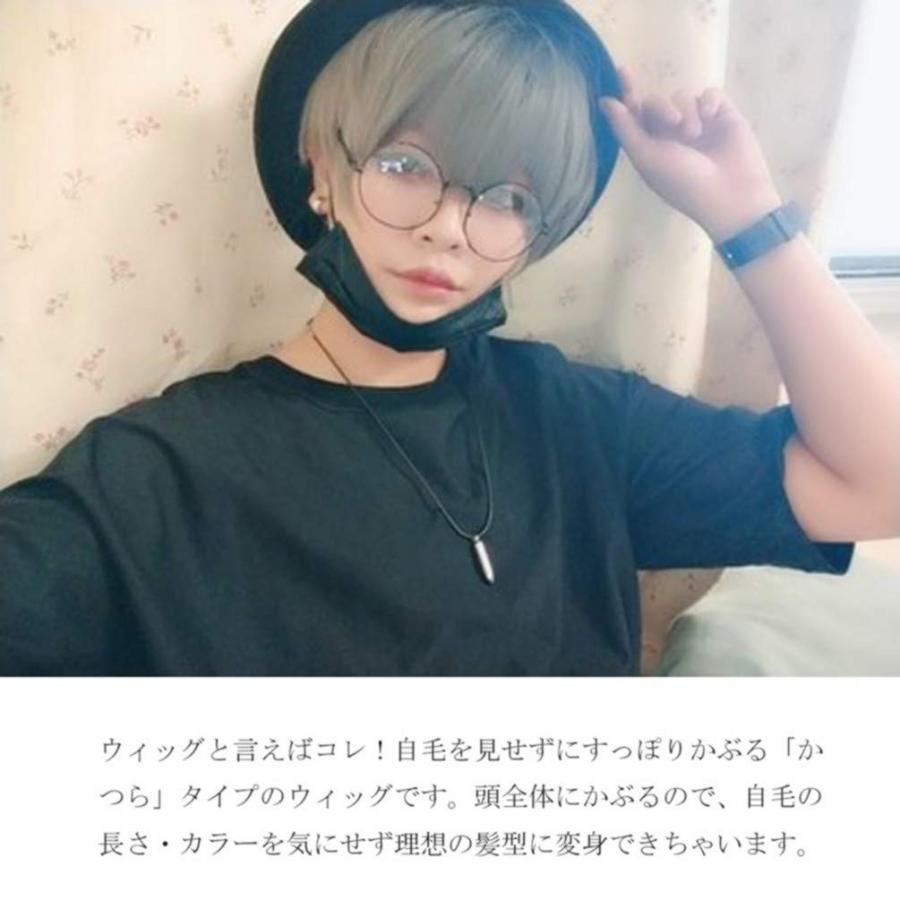 Iozo メンズ ウィッグ ショート フルウィッグ ミディアム 黒 かつら エクステ Mens Wig 男装 学生 面接 仕事 紳士 変装 Erhamah Com