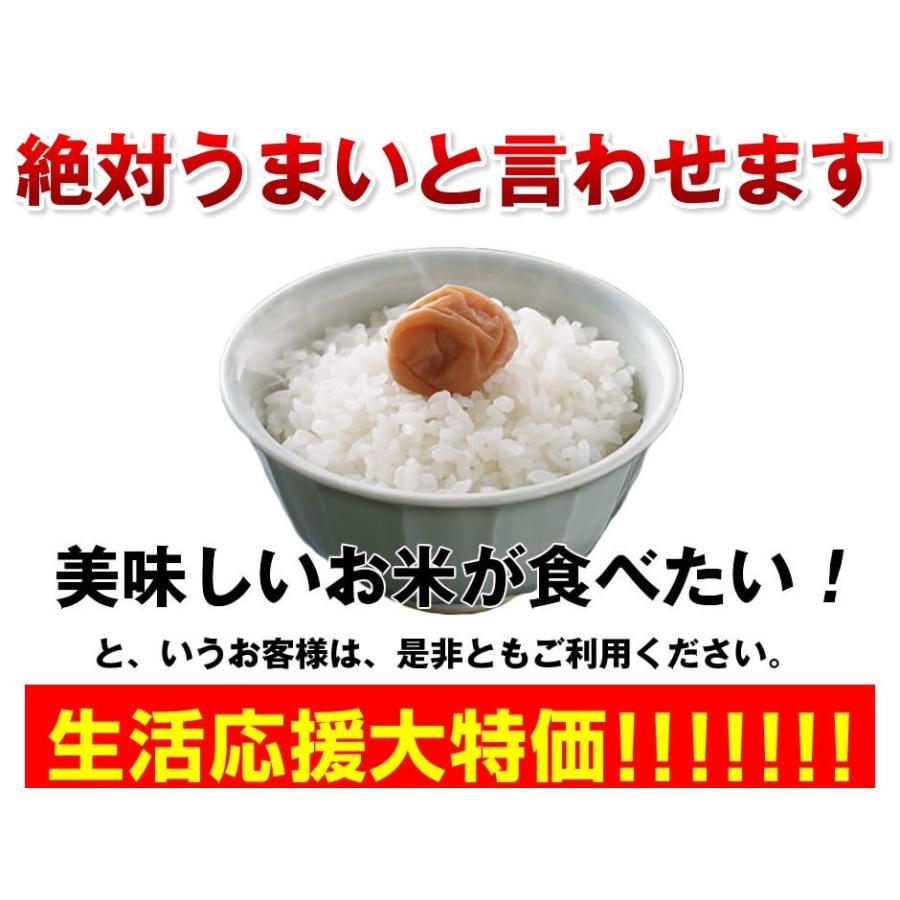コシヒカリ 1件4.0 お米 10kg 白米 送料無料 令和6年度 新米 コシヒカリ 1件4.0 お米 10kg 白米 送料無料 令和6年度 新米
