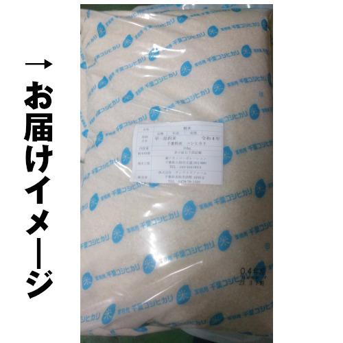 コシヒカリ 1件4.0 お米 10kg 白米 送料無料 令和6年度 新米 コシヒカリ 1件4.0 お米 10kg 白米 送料無料 令和6年度 新米
