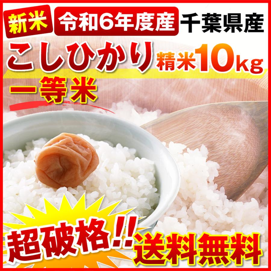 コシヒカリ 1件4.0 お米 10kg 白米 送料無料 令和6年度 新米 コシヒカリ 1件4.0 お米 10kg 白米 送料無料 令和6年度 新米