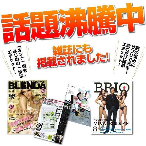 気になるニオイ対策 消臭サプリ Feクロロフィル 送料無料 | ブランド登録なし | 02